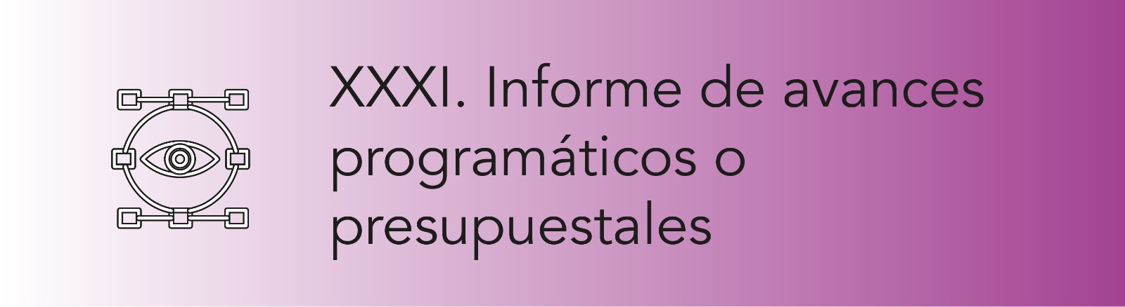 Imagen que permite conocer los Informe de avances programáticos o presupuestales