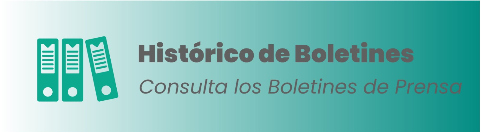 Imagen que te permite consultar el histórico de boletines