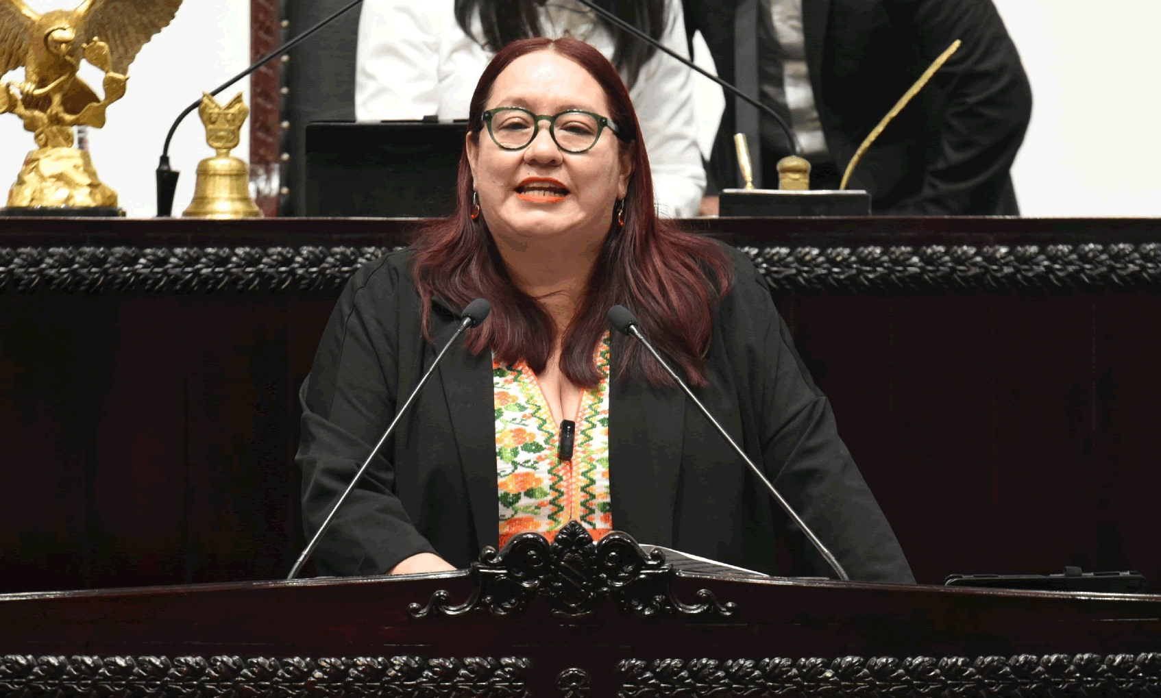 imagen que te permite ver a los Diputados en Sesión